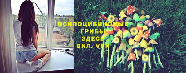 бошки Абдулино