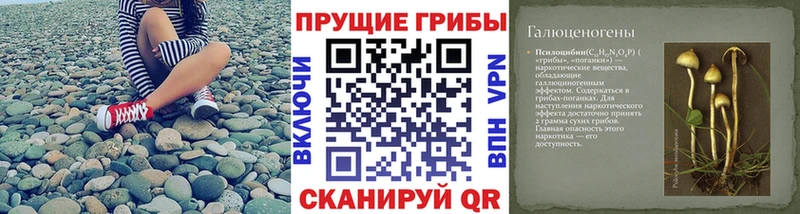 Псилоцибиновые грибы прущие грибы  Новоуральск 