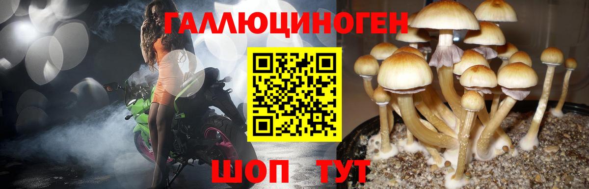 наркота  Вход с VPN  Новоуральск  Галлюциногенные грибы Cubensis 